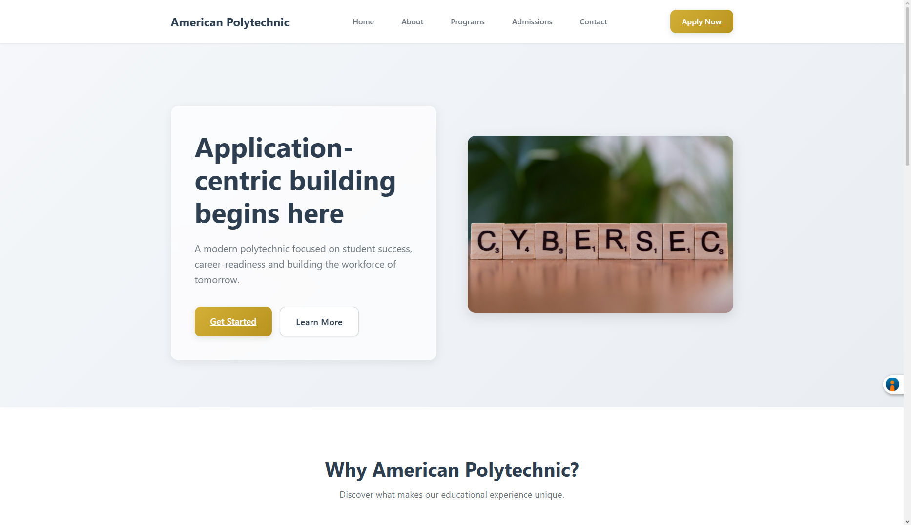 American Polytechnic Institute